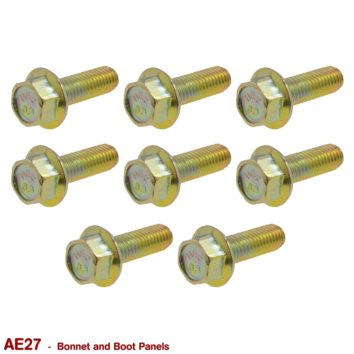 BONNET and BOOT BOLTS for VB VC VH VK VL - HOLDCOM AUTO PARTS