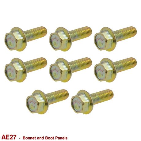 BONNET and BOOT BOLTS for VB VC VH VK VL - HOLDCOM AUTO PARTS